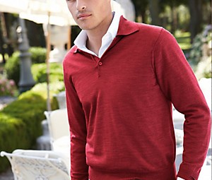 maenner-blog.at_peter-hahn-sportlicher-polo-pullover Peter Hahn - Sportlicher Pullover für Männer